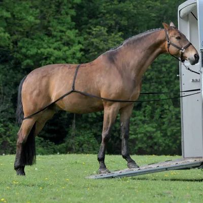 Immagine prodotto di Aiuto al carico di Waldhausen