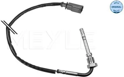 Image de Capteur, Abgastemperatur