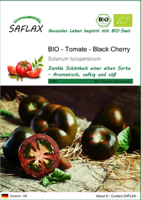 Produktbild von SAFLAX - BIO - Tomate - Black Cherry - 10 Samen - Solanum lycopersicum