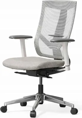 Image de Chaise de bureau ergonomique BS6G-Lite gris, gris