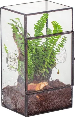 Produktbild von Famanu Terrarium mit Glastür und Belüftungsöffnungen - 13 x 10 x 23 cm