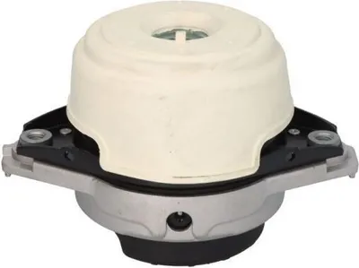 Obrázok produktu pre Motorový nosič REINHOCH RH11-3102