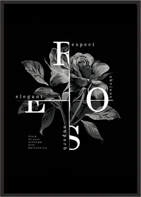 Image de Affiche photo dans un cadre 53x73 cm Rose P1080