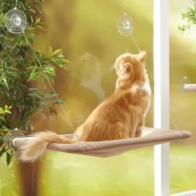 Produktbild von Katzenbett Katzen Fensterbrettauflage Fenster Fensterliege Katze Fensterbankliege Hängematte für Katzen