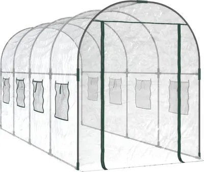 Image de vidaXL Serre transparente 160x400x190 cm PVC & acier