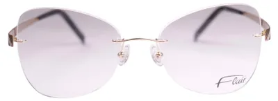 Image de Monture de lunettes FLAIR 5066 100