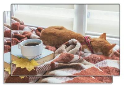 Produktbild von Wallario Frühstücksbrettchen 2er Set aus Glas, je 20 x 30 cm, mit rutschfesten Füßen, Motiv Schlafende Katze beim Kaffeekränzchen