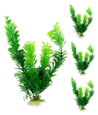 Image de 4 pièces de plantes artificielles pour aquarium, décoration pour poissons
