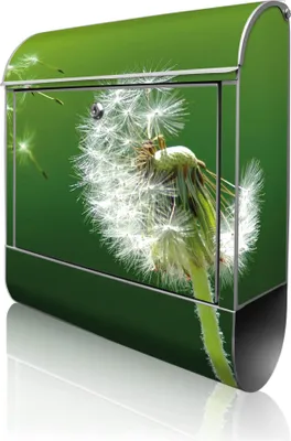 Produktbild von banjado Design Briefkasten Stahl silber mit Zeitungsfach pulverbeschichtet "Pusteblume" 38x46x12,5cm & 2 Schlüssel - Postkasten A4 Einwurf inkl. Montagematerial [BK 10074]