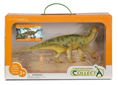 Produktbild von COLLECTA Geschenkset - Vorgeschichte