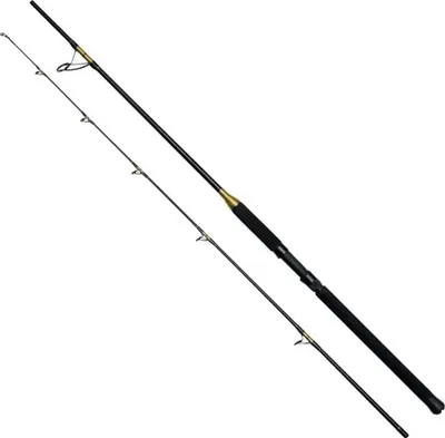 Produktbild von Kinetic Brutalis Fs Bootsrute Schwarz 2.44 m / 30-80 g Schwarz 2.44 m