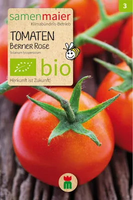Produktbild von Tomaten Berner Rose - Fleischtomate - Saatgut für zirka 10 Pflanzen