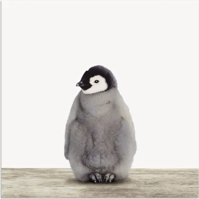 Produktbild von MuchoWow® Poster Kinder - Pinguin - Grau - Tiere - Mädchen - Jungen 75x75 cm - Wand Dekoration