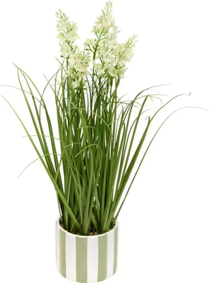 Produktbild von Kunstpflanze daura 47 cm - Atmosphera créateur d'intérieur