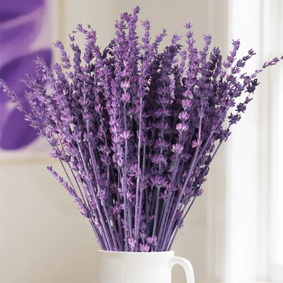 Trockenblumenstrauß 56 g konservierte Lavendelzweige, 42-45 cm, lila