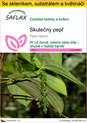 Obrázek produktu pro SAFLAX Kultivační sada - skutečný pepř - Piper nigrum - 20 Semena - S mini skleníkem, pěstebním substrátem a 2 květináči