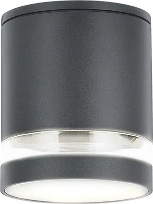 A close-up studio shot of a cylindrical outdoor ceiling light.