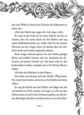 Obrázek produktu pro Morrighan - Wie alles begann