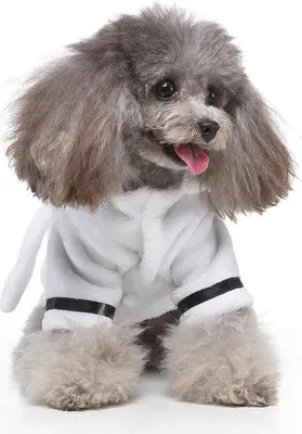 Produktbild von ZELURXX Hundebademäntel, Hundemäntel, Kätzchenkleidung, Welpenkleidung, Herbst-/Winterkleidung für Haustiere, Haustier Schlafanzüge, Größe L