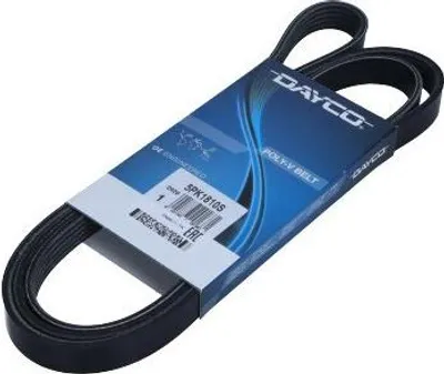 Produktbild von DAYCO Keilrippenriemen 5PK1810S 5PK1810SDAY