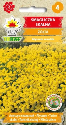 Zdjęcie produktu dla Smagliczka skalna żółta Nasiona kwiatów - 646 Toraf