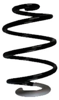 Produktbild von SPIDAN Fahrwerksfeder Hinten für RENAULT Clio III Schrägheck (BR0/1, CR0/1) 86723