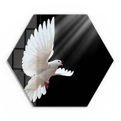 Produktbild von DEQORI Glasbild Echtglas 55x48 cm 'Friedensbote' Wandbild Bild modern Deko
