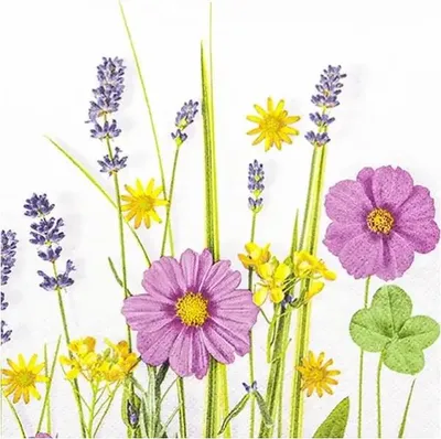 Obrázek produktu pro HOME F. 212302 Lunchservietten Flora - 33 x 33 cm, 20 Stück