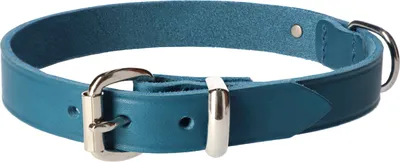 Produktbild von Dingo Hochwertige Hundehalsband aus Leder 2,0x50 cm Dunkelblau