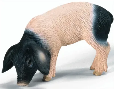Obrázek produktu pro schleich 13635, 3 rok/roky, Růžová, Černá, Plast