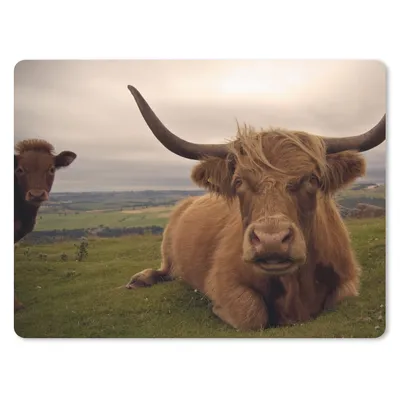 Produktbild von MuchoWow® Mauspad Mousepad Schottischer Highlander - Tiere - Berg 23x19 cm - Mousepads - Maus Mat - Pad - Mausunterlage - Schreibtischunterlage - Mauspad