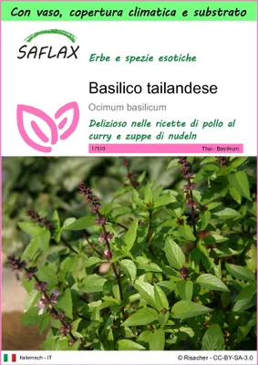 Immagine prodotto di SAFLAX Garden to go - Basilico tailandese - 200 semi - Ocimum