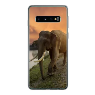 Produktbild von MuchoWow® Handyhülle Schutzhülle Hülle für Samsung Galaxy S10 Elefant - Wasser - Tiere - Sonnenuntergang - Natur Silikon Softcase Handy Hülle - Handytasche