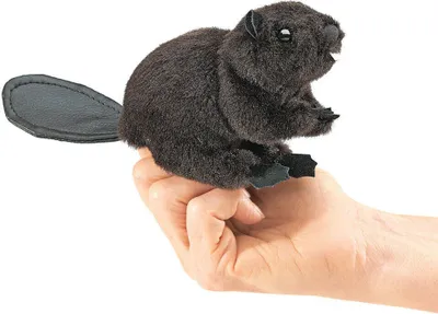 Produktbild von Folkmanis 2651 Fingerpuppe Biber
