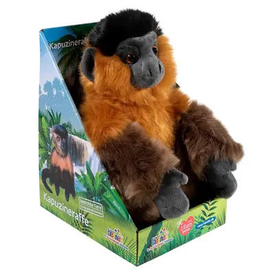 Produktbild von BEDROHTE TIERE Kapuzineraffe