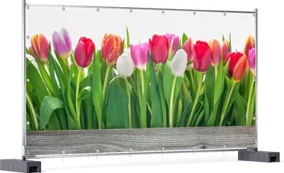 Produktbild von Wallario XXL Outdoor-Poster für Garten oder Balkon, Motiv Rote  weiße und pinke Tulpen im Frühling, in ca. 340 x 173 cm