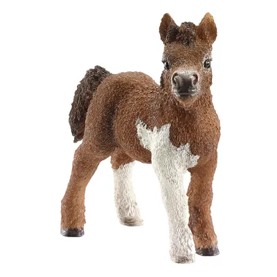 Obrázok produktu pre Schleich 13752 - Žriebä shetlandského poníka, minifigúrka