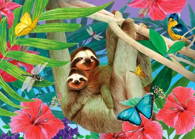 Produktbild von ENJOY Süßes Faultier Puzzle 1000 Teile