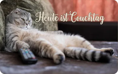 Produktbild von Original® Frühstücks- und Schneidbrettchen mit Katzenmotiv für den Couchtag