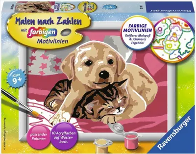 Obrázek produktu pro Ravensburger 4005556279920, 9 rok/roky, Chlapec/děvče, Více, 1 kusů, 2220 mm, 450 mm