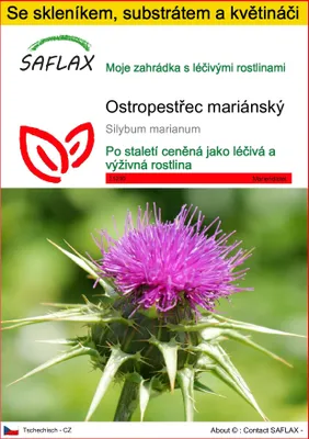 Obrázek produktu pro SAFLAX Kultivační sada - ostropestřec mariánský - Silybum marianum - 75 Semena - S mini skleníkem, pěstebním substrátem a 2 květináči