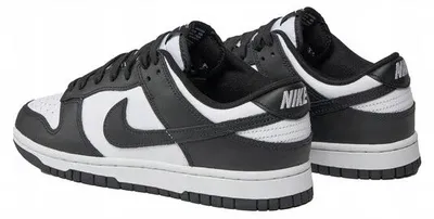 Zdjęcie produktu dla Buty Sportowe Nike Dunk Low Retro Dd1391 100 R-47