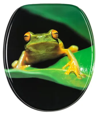 Productafbeelding van SANILO® WC-bril, kleur: groen (kikkergroen), direct van de fabrikant. Alternatieve benamingen: toiletdeksel, wc-deksel, toilettendeckel, wc-bril, toilettenzit, toilettenbril