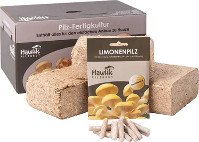 Produktbild von Pilzzuchtset Limonenpilz | Pilzzucht von Hawlik Pilzbrut