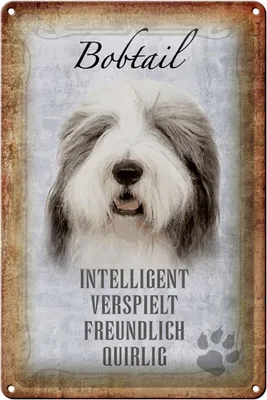 Produktbild von Blechschild Spruch 20x30cm Bobtail Hund verspielt Schild