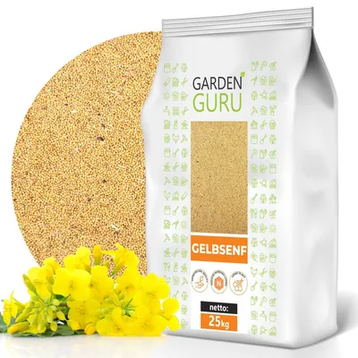 Produktbild von Gelbsenf Gründünger 25kg ganze Körner ganz Bienenfreundlicher gelb weißer Senf für Zwischenfrüchte Bodenverbesserungsmittel bienenfreundlich