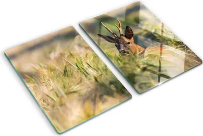 Produktbild von Tulup Glas Herdabdeckplatte - 2x40x52 cm - Glaskeramikkochfeld-Abdeckung Spritzschutz Glasabdeckplatte Kochplattenabdeckung und Schneidebrett - Zweiteilig - Tiere - Hirsch Feld - Braun