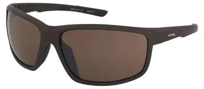 Zdjęcie produktu dla Okulary przeciwsłoneczne Alpina Defey Tin Matt-Black/CM Brown