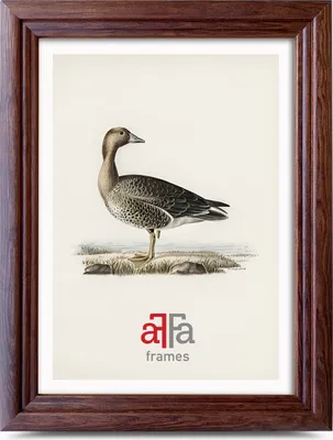 Obrázok produktu pre aFFa rámy, Retro, drevený obrazový rám, akrylové sklo, rám na fotografie, rám na plagáty, 15x21 cm, hnedá