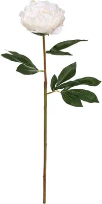Produktbild von Künstlicher pfingstrosenstängel h68cm  - Atmosphera créateur d'intérieur